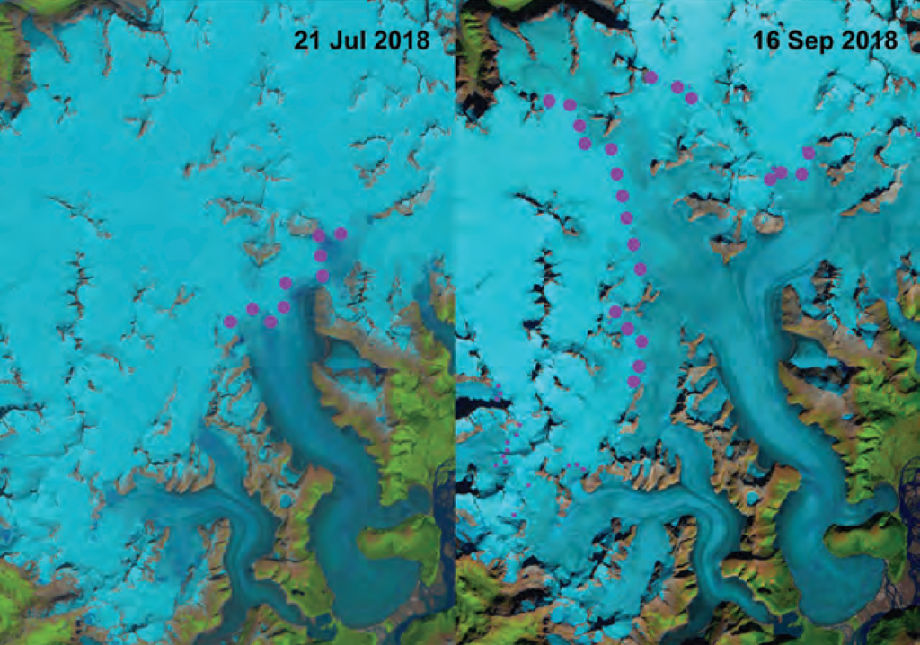 Landsat 8 images from 21 July 2018 (left) and 16 September 2018 (right) illustrating the Taku Glacier transient snowline. The 21 July 2018 snowline is at 975 m and the 16 September 2018 snowline is at 1400 m. Average end-of-summer snowline is 975 m; the 2018 end-of-summer snowline was the highest observed in the 73-year record. Graphic: AMS