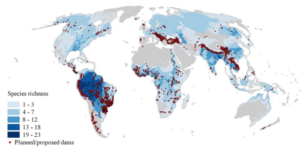 Map showing spatial congruence between species richness of freshwater megafauna and future hydropower dams. Data: adapted from Zarfl et al., unpublished data. Graphic: Fengzhi He, 2019