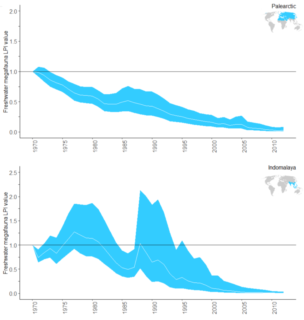 Population change of freshwater megafauna in Palearctic (37 species; 239 time series) and Indomalaya (25 species; 63 time series) realms from 1970 to 2012. The value of Living Planet index (LPI) was set to 1 in the reference year 1970. Graphic: Fengzhi He, 2019
