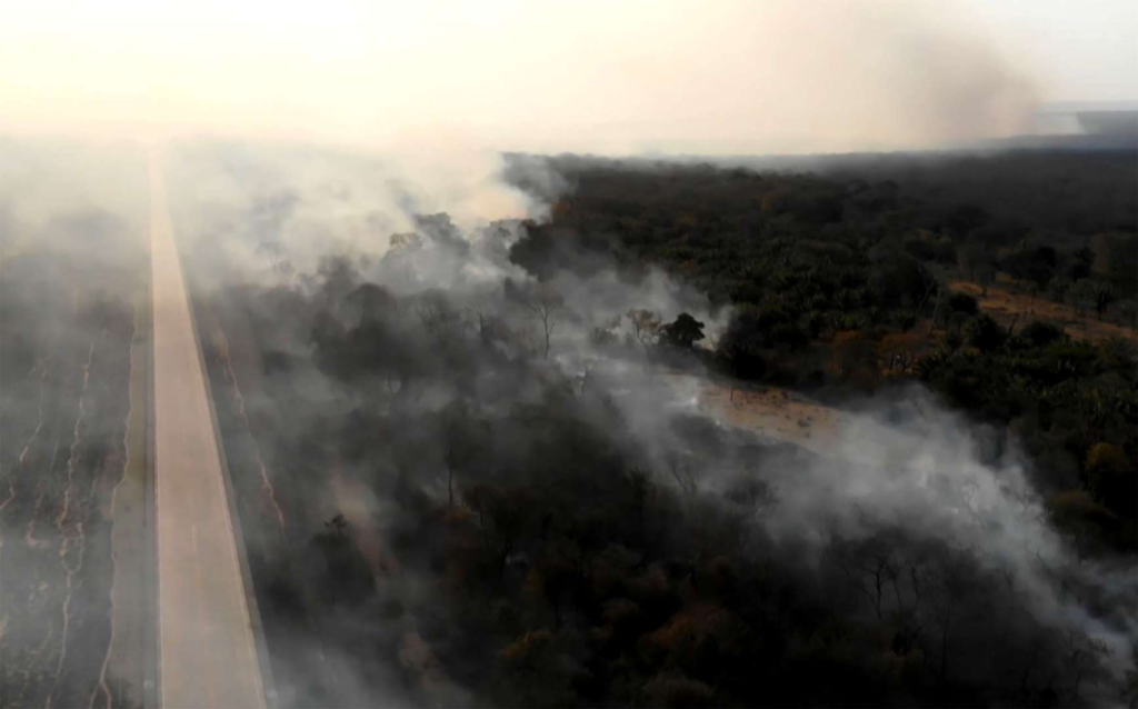 Screenshot showing wildfire near Robore, Santa Cruz region, eastern Bolivia on 21 August 2019. Up to now, wildfires in Bolivia have devastated about 745,000 hectares of forests and pasturelands. Neighboring Peru, which contains much of the Amazon basin, announced it was "on alert" for wildfires spreading from the rainforest in Brazil and Bolivia. Photo: AFP / Getty Images