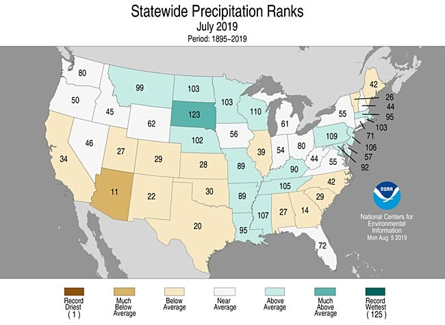 Statewide rankings for average precipitation in the U.S. for July 2019, as compared to each July since records began in 1895. Darker shades of green indicate higher rankings for moisture, with 1 denoting the driest month on record and 125 the wettest. Image credit: NOAA / NCEI