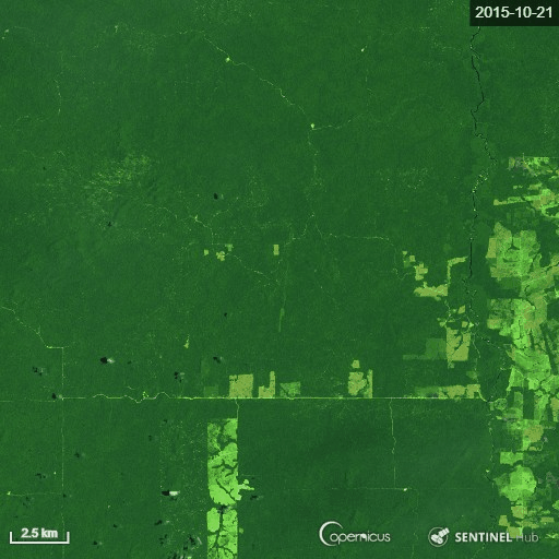 Timelapse satellite view of deforestation since 2015 of a plot of Amazon rainforest in Brazil, from 21 October 2015 to 21 August 2019. Photo: Pierre Markuse / ESA / Copernicus