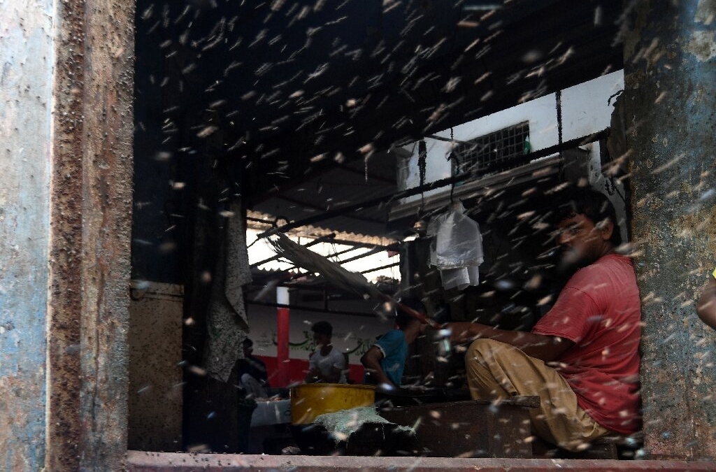 A swarm of flies hangs in the air in Karachi, Pakistan, on 7 September 2019. Swarms of flies, water-borne illnesses, and rivers of sewage have brought Karachi to its knees this rainy season after decades of mismanagement turned the commercial capital into one of the world’s least liveable cities. Photo: AFP