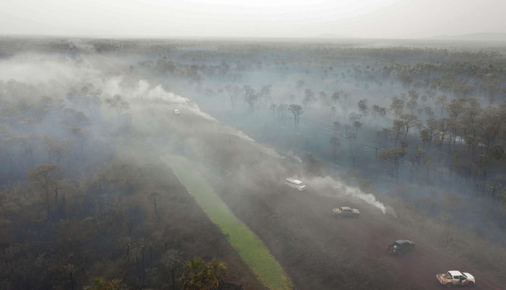 Aerial view of damage caused by wildfires in Otuquis National Park, in the Pantanal ecoregion of Bolivia, on 26 Aug 2019. Photo: Pablo Cozzaglio / AFP / Getty Images