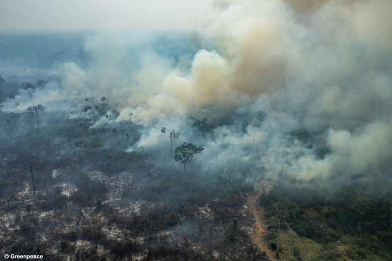 Aerial view of the Amazon rainforest burning out of control in the municipality of Colniza, Mato Grosso state on 24 August 2019, just days before nine Amazon state governors met with Bolsonaro to discuss pkans to continue destroying the rainforest and assimilating the indigenous peoples of Amazonia. Photo: Victor Moriyama / Greenpeace
