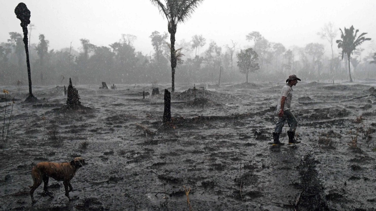 Brazilian farmer Helio Lombardo Do Santos and a dog walk through a burned area of the Amazon rainforest, near Porto Velho, Rondônia state on 26 August 2019. Photo: Carl De Souza / AFP / Getty Images