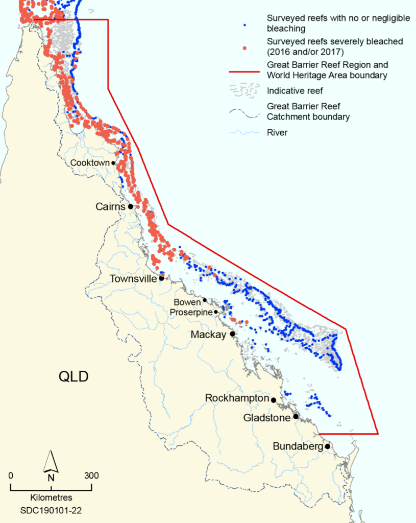 Cumulative footprint of coral bleaching in the Great Barrier Reef during the summers of 2016 and 2017. Dots indicate: (red) surveyed reefs where >60 per cent of  corals were bleached; and (blue) reefs that were surveyed but had no or negligible bleaching. Data: ARC Centre of Excellence for Coral Reef Studies. Graphic: Great Barrier Reef Marine Park Authority