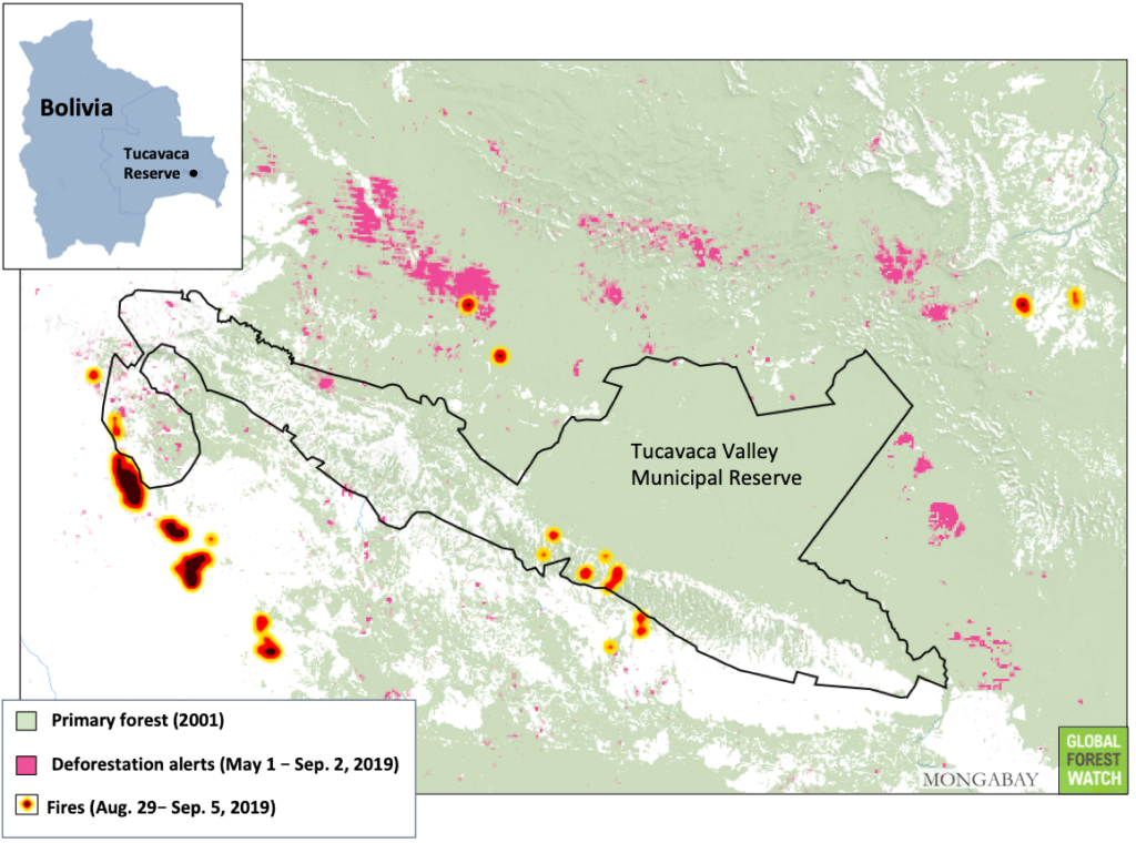 Deforestation alerts cluster around areas previously ravaged by fire around Tucavaca Valley Municipal Reserve as more recent and ongoing fires encroach further into the reserve and the surrounding area. Data: GLAD UMD / NASA FIRMS / “VIIRS Active Fires”. Accessed through Global Forest Watch on 6 August 2019. Graphic: Mongabay