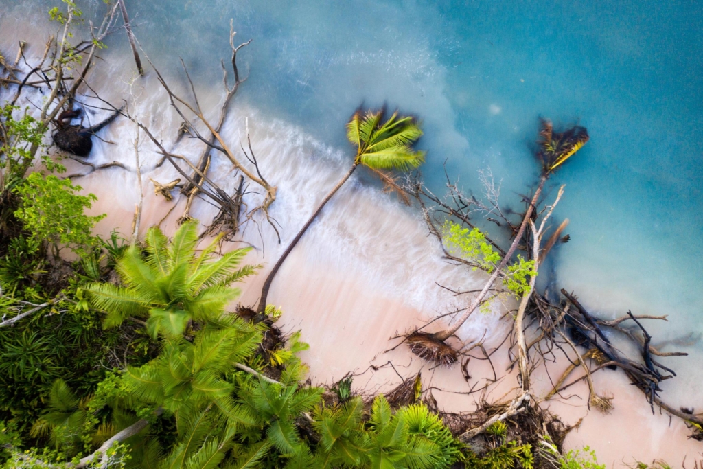 This image, “Tuvalu Beneath the Rising Tide”, won photographer Sean Gallagher the Environmental Photographer of the Year 2019 award in the “Changing Environments” category. It shows an aerial view of fallen trees on a beach as the waves from the Funafuti lagoon in Tuvalu lap around them. Land erosion has always been a problem for the country, but problems are intensifying as sea levels rise. Rising seas are on the verge of submerging the tiny archipelago’s islands completely under water. Photo: Sean Gallagher