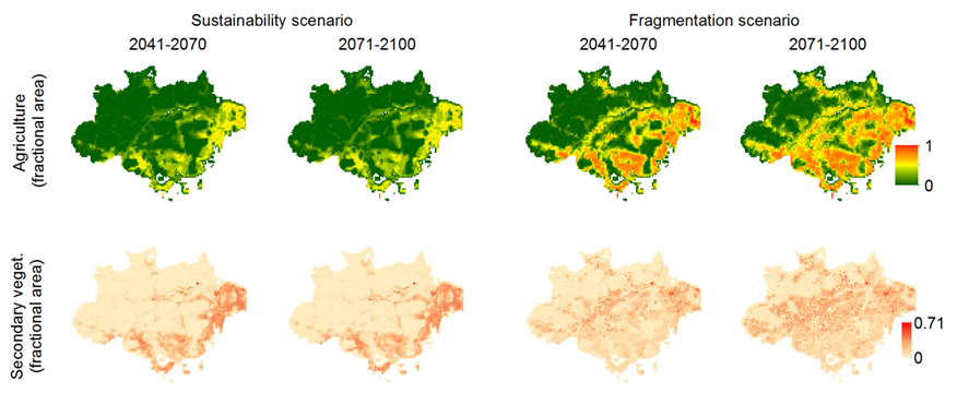 Fractional area of agriculture and secondary vegetation in the Brazilian Amazon under the two analyzed land-use change scenarios by the mid (2041-2070) and the end (2071-2100) of the 21st century. Graphic: Fonseca, et al., 2019 / Global Change Biology
