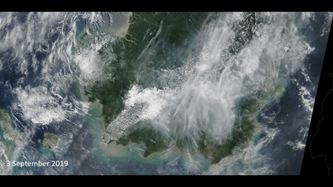 Satellite view of smoke from forest fires in Indonesia, from 3 September 2019 to 12 September 2019. Photo: NASA Worldview