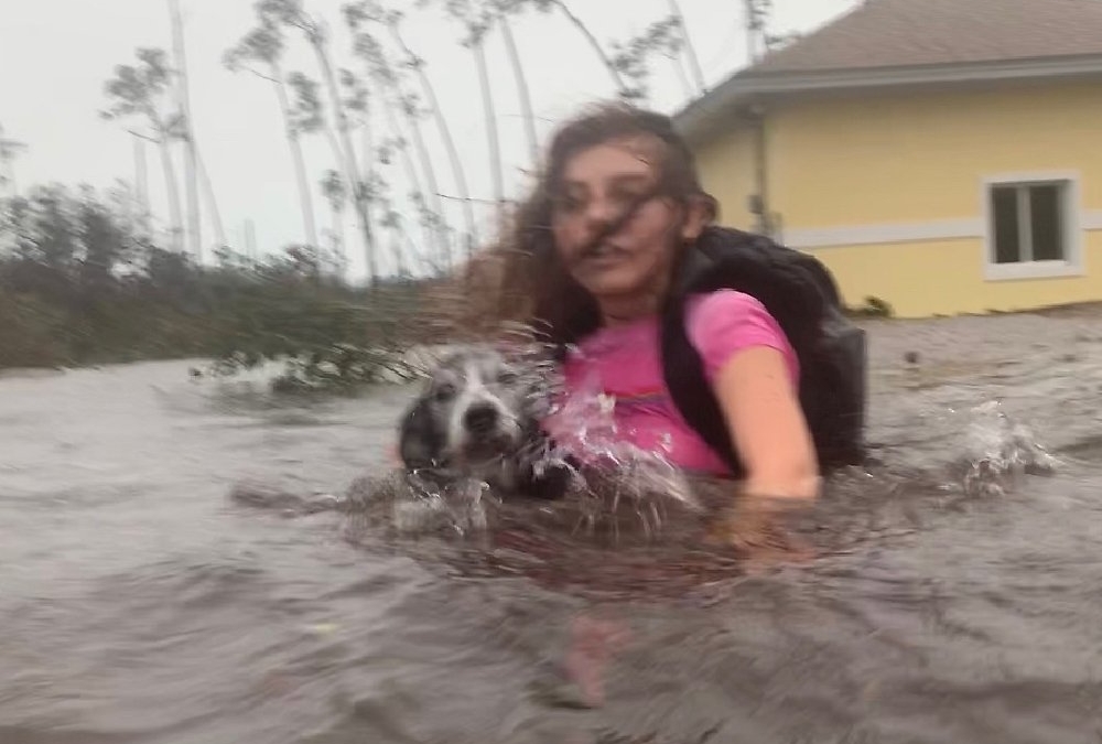 Julia Aylen wades through waist deep water carrying her pet dog as she is rescued from her flooded home during Hurricane Dorian in Freeport, Bahamas, Tuesday, 3 September 2019. Practically parking over the Bahamas for a day and a half, Dorian pounded away at the islands Tuesday in a watery onslaught that devastated thousands of homes, trapped people in attics and crippled hospitals. Photo: Tim Aylen / AP Photo