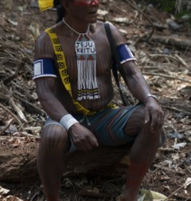 Krimej village indigenous Chief Kadjyre Kayapo, of the Kayapo indigenous community, pauses on the path opened by illegal loggers on the border between Menkragnotire indigenous lands and the Biological Reserve Serra do Cachimbo in Altamira, Para state, Brazil, Saturday, 31 August 2019. He wears a traditional headdress and a necklace reading “Jesus Christ” in Kayapo language. Much of the deforestation in the Brazilian Amazon is done illegally -- land grabbers burn areas to clear land for agriculture and loggers encroach on national forests and indigenous reserves, and Kayapo says he does not want loggers and prospectors on his land. Photo: Leo Correa / AP Photo