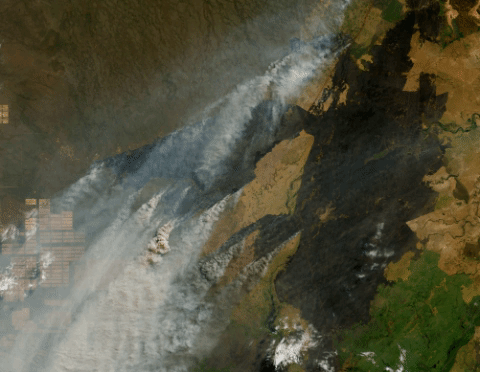 Landsat 8 acquired images of one of the larger fires in South America burning north of the Paraguay River near Puerto Busch on 25 August 2019 with IR Joshua Stevens NASA Earth Observatory