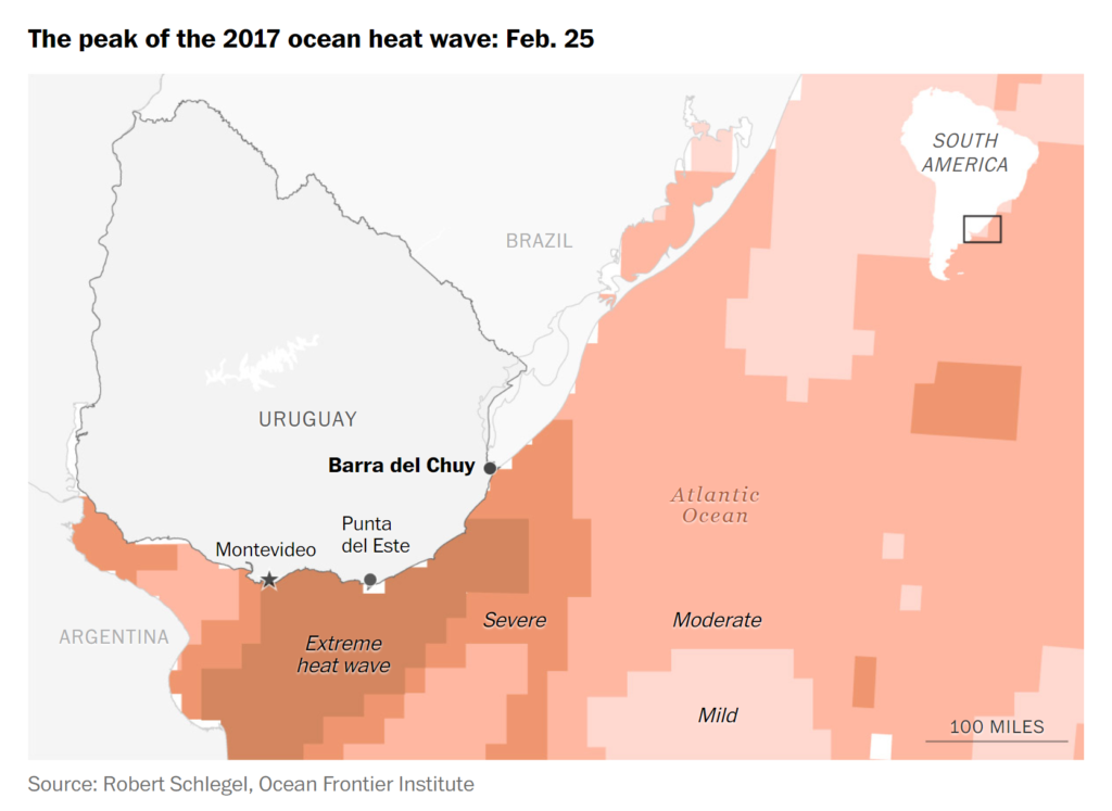 The peak of the 2017 ocean heat wave off the coast of Uruguay, 25 February 2017. Data: Robert Schlegel / Ocean Frontier Institute. Graphic: The Washington Post