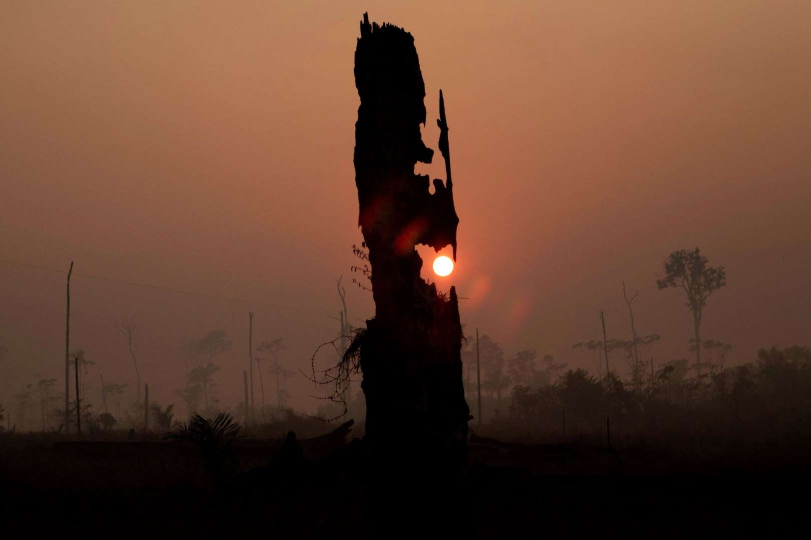 The sun shines red through smoke and dust left by the fires in the Amazon rainforest, near Porto Velho, Brazil, on 29 August 2019. Photo: Joedson Alves / EPA-EFE / Shutterstock