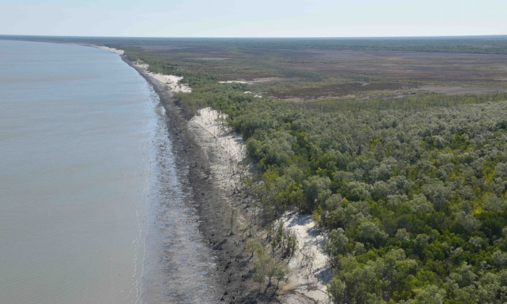 Aerial view of damaged mangroves from a 2019 monitoring trip in the Gulf of Carpentaria. A cascade of impacts including rising sea levels, heatwaves and back-to-back tropical cyclones has created 400km of dead and badly damaged mangroves in the Gulf of Carpentaria. A cascade of impacts including rising sea levels, heatwaves and back-to-back tropical cyclones has created 400km of dead and badly damaged mangroves in the Gulf of Carpentaria. Photo: Norman Duke