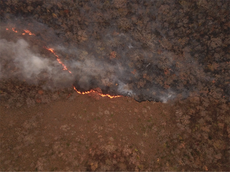 Aerial view of intentionally set forest fire in Limoncito, Roboré, Bolivia, on 14 September 2019. Photo: Claire Wordley / Mongabay