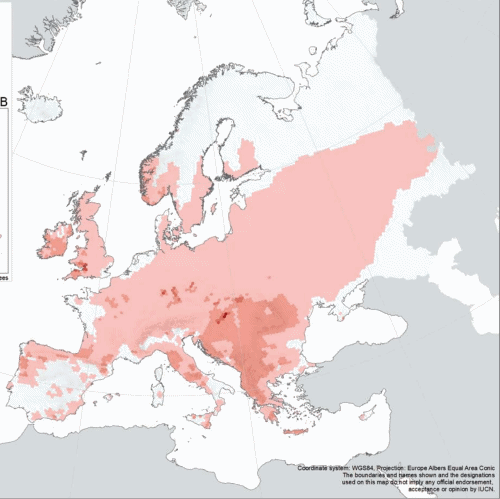 The distribution of threatened tree species, Critically Endangered, Endangered, or Vulnerable (CR, EN, and VU), in Europe. Data: European Red List of trees 2019. Graphic: IUCN