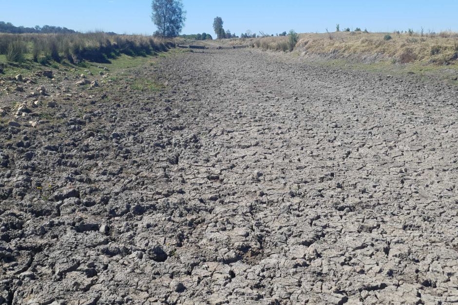 A dry river bed on rancher Tony Saul's property in New South Wales, Australia, during the historic drought of 2019. Photo: Jerry Rickard / ABC News