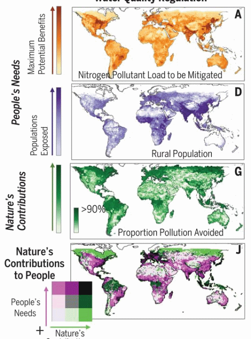 Global variability in nature’s contributions to people, for water quality regulation, coastal risk reduction, and crop pollination. Graphic: Chaplin-Kramer, et al., 2019 / Science