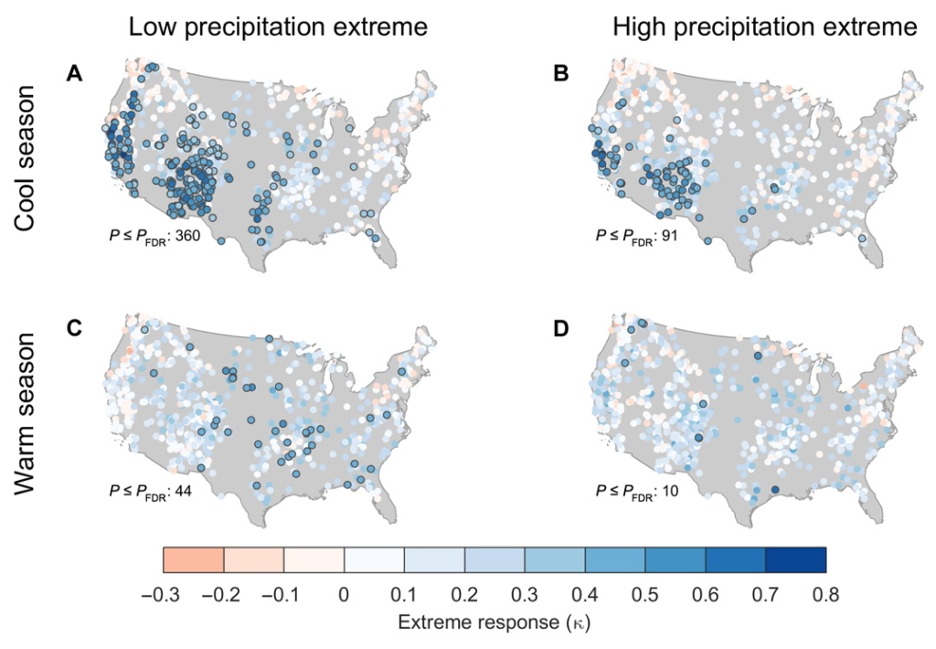 Map showing responses of forest growth to seasonal precipitation extremes in the continental United States. Proportion of years with extremely low or high precipitation (lower or upper 20th percentile, respectively) that are also extremely low or high growth years after using a Cohen’s κ correction to account for chance co-occurrence. Responses to extreme precipitation were calculated from 1895 (the start of the PRISM precipitation estimates) through the ending year of tree-ring measurements, which varied by site but was never earlier than 1970. (A and B) Responses of growth to extremely dry and extremely wet cool seasons (prior October to March). (C and D) Responses of growth to extremely dry and extremely wet warm seasons (April to September). Sites outlined in dark gray indicate significant co-occurrence of extreme precipitation and extreme growth based on the binomial distribution, with the false discovery rate (FDR) controlled at the αglobal = 0.05 level (Materials and Methods). The number of sites where P ≤ PFDR is shown for each panel. Graphic: Dannenberg, et al., 2019 / Science Advances