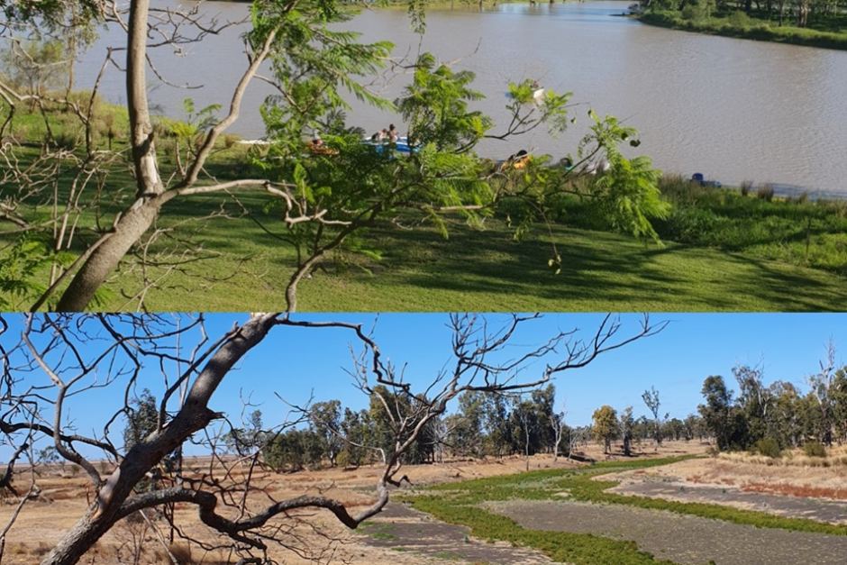 A view of the Condamine River from a farm at Cecil Plains, Queensland, Australia shows it was much greener in December 2018 (top) than in August 2019 (bottom). Photo: Sarah Pearce