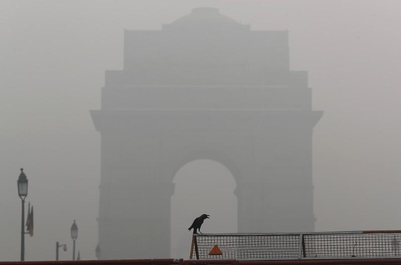 A crow sits on a barricade in front of India Gate amidst smog in New Delhi, 3 November 2019. Photo: Adnan Abidi / REUTERS