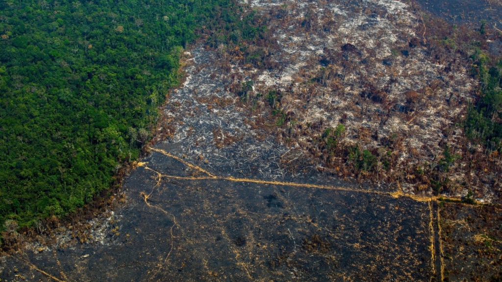 An aerial view of the Cachimbo Biological Reserve in Altamira, Brazil, reveals the scale of the burned land in the Amazon basin, in August 2019. Critics of Brazilian President Jair Bolsonaro trace the recent spike in fires to his administration’s anti-environmental policies. Photo: João Laet / AFP / Getty Images