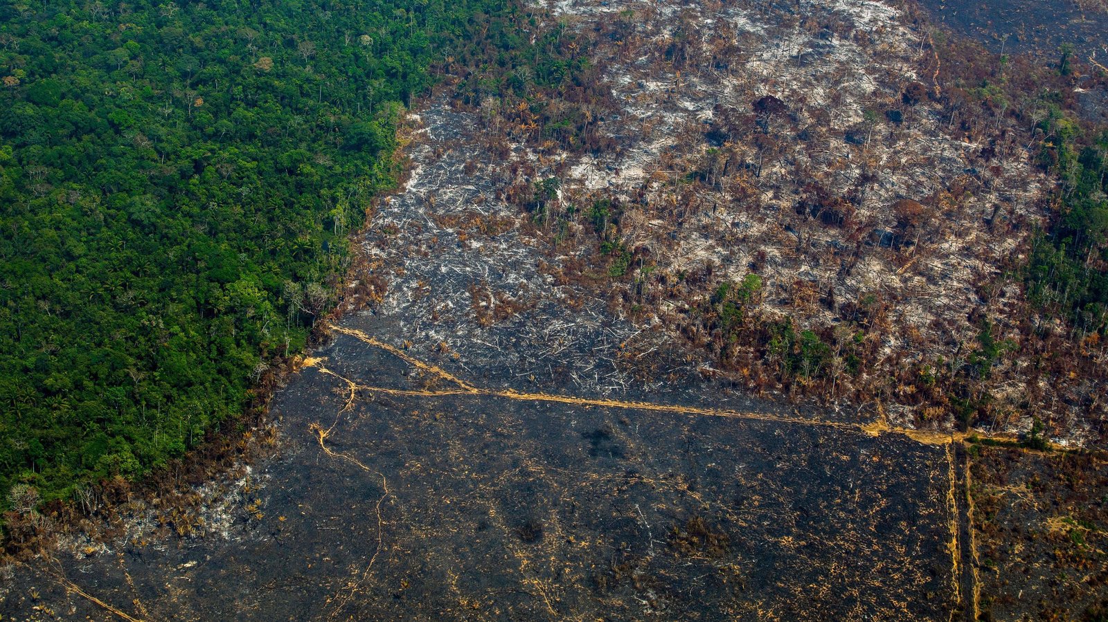 An aerial view of the Cachimbo Biological Reserve in Altamira, Brazil, reveals the scale of the burned land in the Amazon basin, in August 2019. Critics of Brazilian President Jair Bolsonaro trace the recent spike in fires to his administration’s anti-environmental policies. Photo: João Laet / AFP / Getty Images