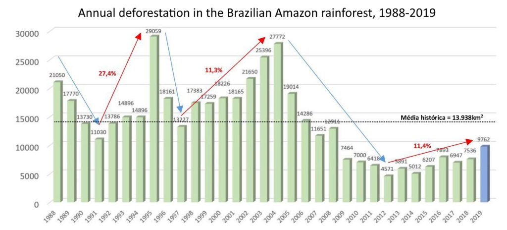 Amazon Rainforest Sees Biggest Spike In Deforestation In More Than A Decade Forests Fall Indigenous Leaders Are Killed And Environmental Laws Are Shattered Desdemona Despair