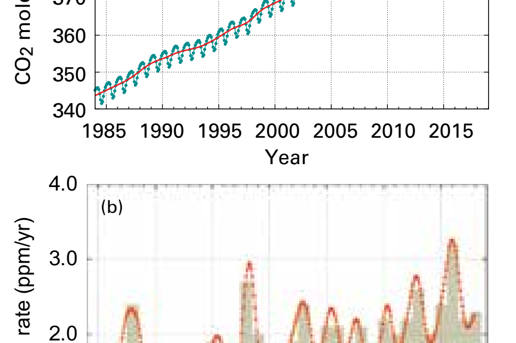 Globally averaged CO2 mole fraction (a) and its growth rate (b) from 1984 to 2018. Increases in successive annual means are shown as shaded columns in (b). The red line in (a) is the monthly mean with the seasonal variation removed; the blue dots and line depict the monthly averages. Observations from 129 stations have been used for this analysis. Graphic: WMO