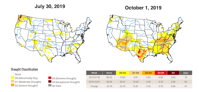 Comparison of weekly U.S. Drought Monitor for 30 July 2019 (left) and 1 October 2019 (right) shows the rapid progression of drought across the south-central and southeast U.S. Graph: National Drought Mitigation Center