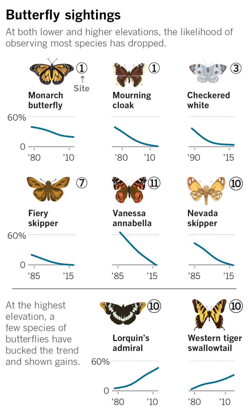 Likelihood of observing various butterfly species in California, 1980-2015. Graphic: Shaffer Grubb / Los Angeles Times