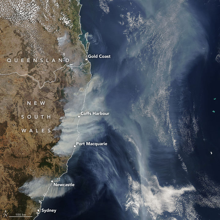 On 19 November 2019, the Moderate Resolution Imaging Spectroradiometer (MODIS) on NASA’s Aqua satellite acquired a natural-color image of thick smoke plumes rising from New South Wales (NSW) and Queensland. Photo: Joshua Stevens / NASA Earth Observatory