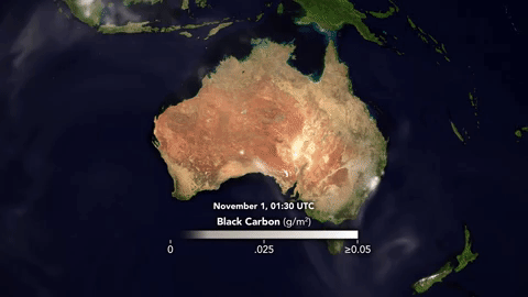 This animation depicts the abundance and direction of black carbon blowing through the atmosphere from 1 November 2019 to 18 November 2019. The data for the animation come from the GEOS forward processing (GEOS-FP) model, which assimilates information from satellite, aircraft, and ground-based observing systems. Video: Joshua Stevens / NASA Earth Observatory