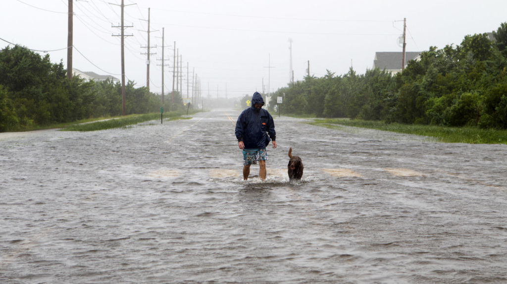 A resident walks his dog on a flooded road in Salvo, N.C., in the Outer Banks, as Hurricane Dorian drenches the neighborhood with a torrential downpour on 6 September 2019. The storm made landfall as a Category 1 hurricane. Photo: Jose Luis Magana / AFP / Getty Images