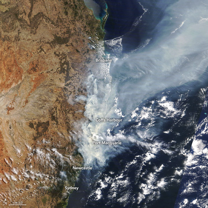 This natural-color image of smoke from Australia bushfires was acquired by the Moderate Resolution Imaging Spectroradiometer (MODIS) on NASA’s Terra satellite on 11 November 2019. Strong westerly winds fanned the flames and carried smoke several hundred kilometers out to sea. Photo: Joshua Stevens / NASA Earth Observatory