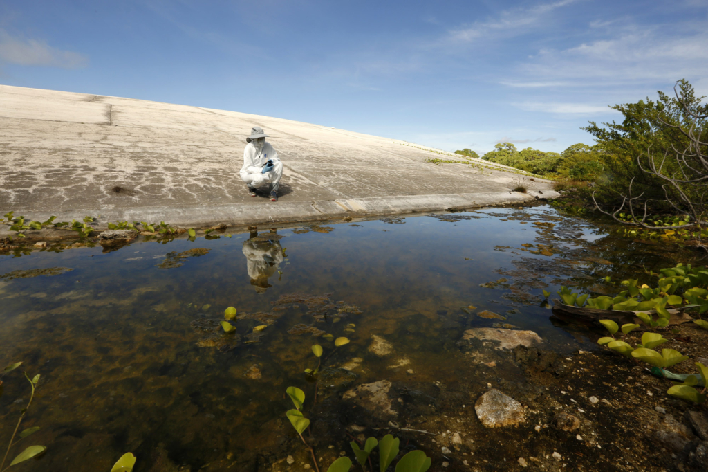 Los Angeles Times reporter Susanne Rust looks at water pools around the Runit Dome, in Enewetak Atoll, the Marshall Islands, 14 August 2018. More than 40 years ago, U.S. authorities buried plutonium and other waste from nuclear testing in an unlined bomb crater on Runit Island and encapsulated it with concrete. The so-called “Tomb” now bobs with the tide, sucking in and flushing out radioactive water into nearby coral reefs, contaminating marine life. Photo: Carolyn Cole / Los Angeles Times