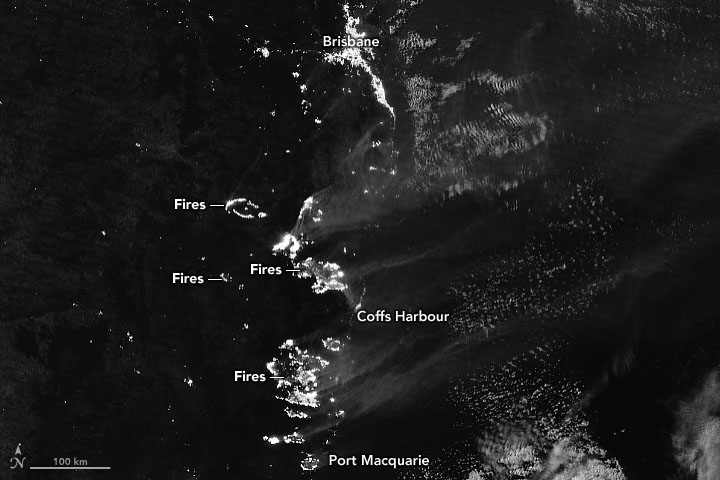 On 9 November 2019, the Visible Infrared Imaging Radiometer Suite (VIIRS) on the NOAA-NASA Suomi NPP satellite got a nighttime view of the fires raging in Queensland and New South Wales. The image was acquired with the VIIRS “day-night band”, which detects light in a range of wavelengths from green to near-infrared and uses filtering techniques to observe signals such as city lights, auroras, and wildfires. Data: VIIRS day-night band data from the Suomi National Polar-orbiting Partnership. Photo: Joshua Stevens / NASA Earth Observatory