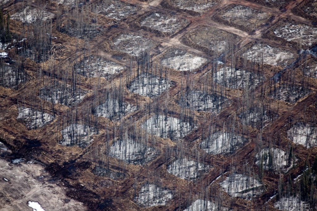 Aerial views of checkerboard clearing of the overburden for seismic testing at Syncrude Aurora North mine site, Alberta, Canada, 2014. Photo: Alex MacLean / climatestate.com