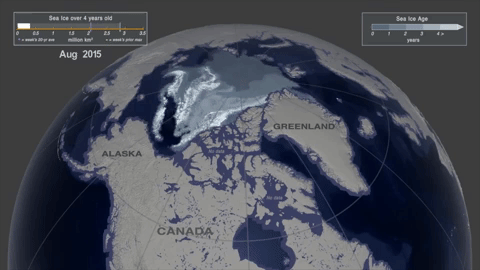 Animation showing the age of the Arctic sea ice between 2015 and 2019. Video: NASA