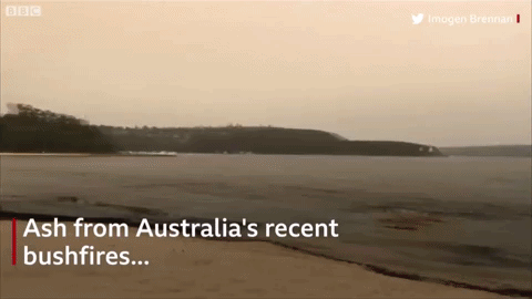 The water at Balmoral beach in New South Wales has turned black after Australia's recent deadly bushfires, 9 December 2019. Local woman Imogen Brennan shared videos of the beach on social media. Video: Imogen Brennan / BBC