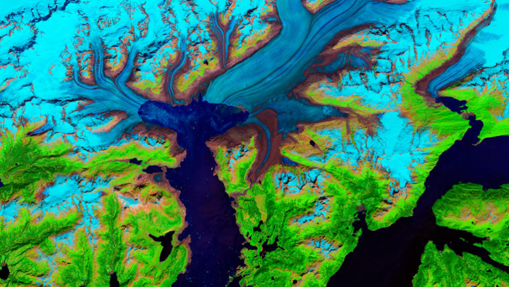 Alaska’s Columbia glacier has retreated rapidly over the last four decades. This false-color image was taken in July 2014. Photo: Lauren Dauphin / NASA Earth Observatory