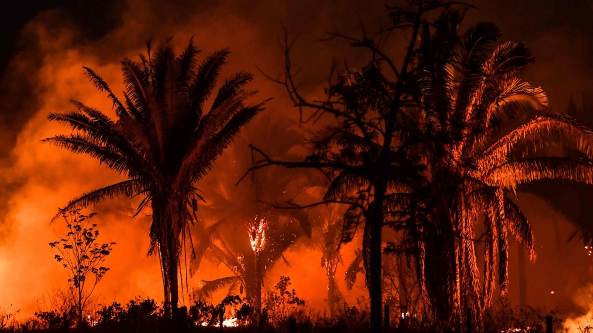 Fires burn in Pará state, Brazil, in September 2019. Jair Bolsonaro accused Leonardo DiCaprio of ‘giving money for the Amazon to be torched’. Photo: Nelson Almeida/ AFP / Getty Images