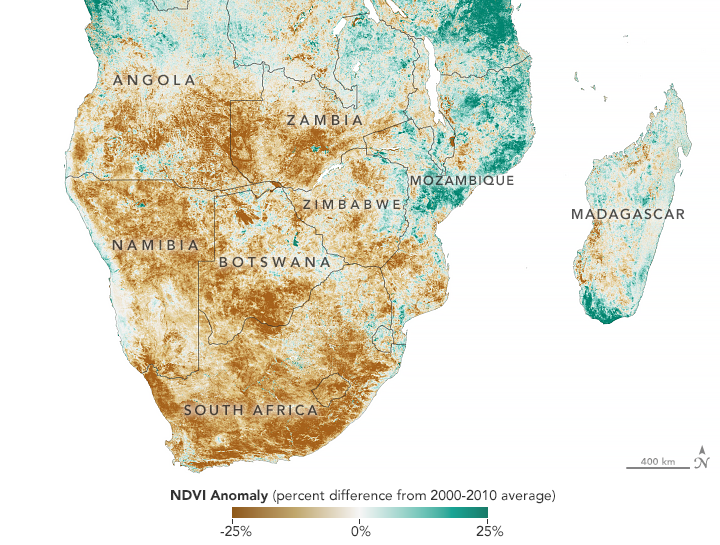 Map of Southern Africa showing anomalies in the Normalized Difference Vegetation Index (NDVI), a measure of how plants absorb visible light and reflect infrared light, for the period 10 September 2019 - 8 December 2019. Drought-stressed vegetation reflects more visible light and less infrared than healthy green vegetation, and this can be detected by satellites. This NDVI anomaly map, based on data from Terra MODIS, compares the health of vegetation in southern Africa from the dry season in 2019 versus the same period from 2000-2010. Brown areas show where plant health or “greenness” was below normal. Greens indicate vegetation that is more widespread and abundant than normal. Data: MODIS data from NASA EOSDIS/LANCE and GIBS/Worldview. Graphic: Lauren Dauphin / NASA Earth Observatory