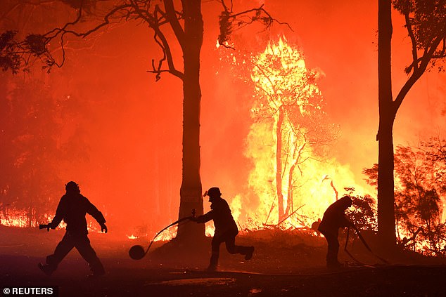 RFS volunteers and NSW Fire and Rescue officers fight a bushfire encroaching on properties near Termeil, New South Wales, Australia, on Tuesday, 3 December 2019. Photo: Reuters