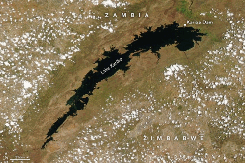 This before-and-after image shows satellite images of Lake Kariba, on the border of Zambia and Zimbabwe, in December 2018 and December 2019. The lake has dropped to critically low levels. Photo: NASA Earth Observatory