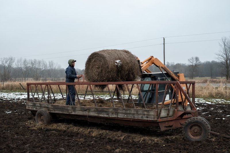 Steven Rieckmann loads a bale of hay on 20 November 2019. Photo: Jason Vaughn / TIME