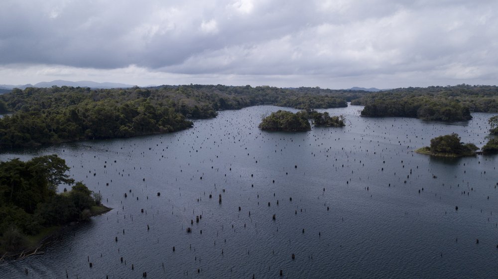 Aerial view of trees that used to be submerged but are now exposed due to the low water levels of Lake Gatún, on the Panama Canal, 21 April 2019. Carlos Vargas, vice president of environment and water for the Canal Authority, said recently that Gatún, one of the largest artificial lakes in the world was 4.6 feet (1.4 meters) below normal levels for this time of year, having descended more than a half-foot (0.2 meters) since early April. Photo: Arnulfo Franco / AP Photo